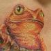 tattoo galleries/ - realistic frog and grasshopper by mario sanchez - 55061
